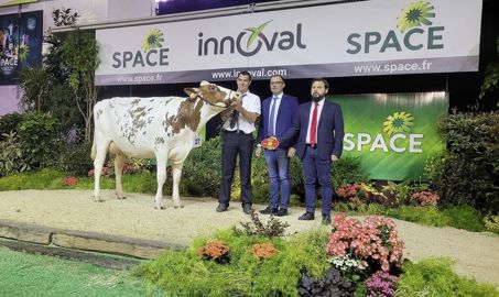 Pensée, gagnante du concours Pie Rouge au Space 2023 Pensée, gagnante du concours Pie Rouge au Space 2023