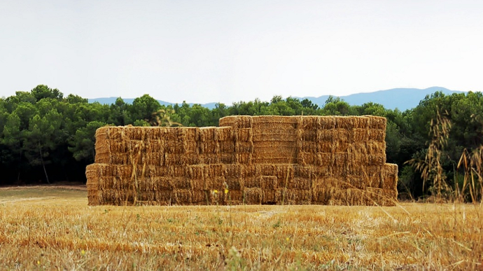 Malgré de grandes disparités régionales, le poste litière pèse de plus en plus dans les coûts de production.