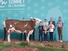 Placibelle sacrée grande championne montbéliarde Placibelle sacrée grande championne montbéliarde