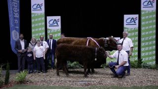 Imposante est montée sur la première marche du podium du concours Salers. Imposante est montée sur la première marche du podium du concours Salers.