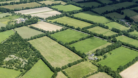 La Confédération paysanne rappelle l'importance de protéger toutes les haies existantes et de reconnaître leur rôle en agriculture.