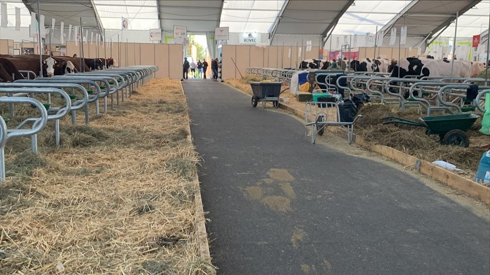 Stalles bovins vides au Sommet de l'élevage 2023.