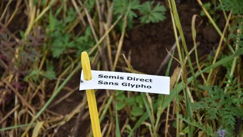 La station expérimentale de Kerguéhennec, située dans le Morbihan, travaille sur la réduction d'usage des phyto depuis 25 ans.