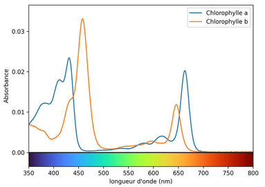 Spectre d’absorption de la chlorophylle
