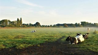 En octobre, le déficit de production d'herbe au niveau national s'élève à 9 %. En octobre, le déficit de production d'herbe au niveau national s'élève à 9 %.