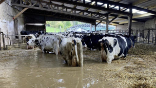 Face aux inondations, les éleveurs sont en première ligne. Face aux inondations, les éleveurs sont en première ligne.