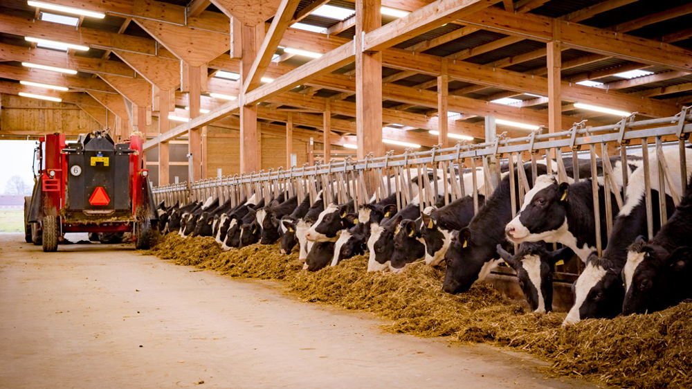 Réponses à vos questions les plus fréquentes