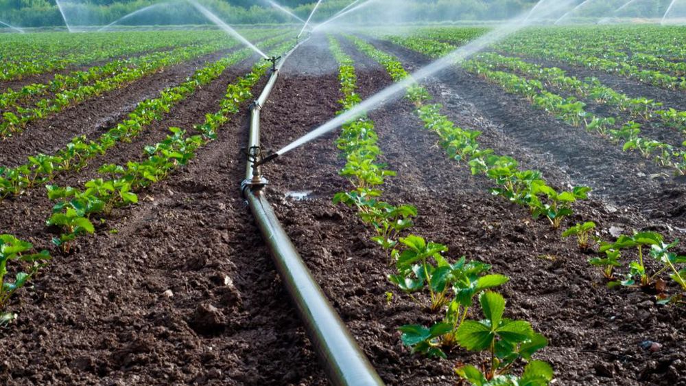 Irrigation dans un champ