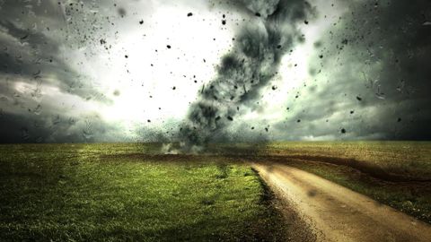 Après le passage des tempêtes Ciaran et Domingos, Groupama recense 8 000 sinistres agricoles répartis sur 4 caisses régionales.