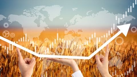 Après l'Égypte et la Chine la semaine passée, le Japon, le Bangladesh, la Tunisie ou encore l'Algérie ont lancé des achats en ce début de semaine, ce qui soutient les cours du blé.