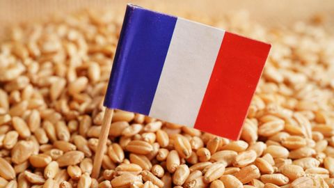 FranceAgriMer estime à 17 Mt le total des exportations françaises de blé tendre sur 2023/24, un volume proche des deux campagnes précédentes. FranceAgriMer estime à 17 Mt le total des exportations françaises de blé tendre sur 2023/24, un volume proche des deux campagnes précédentes.