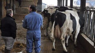La fiche TRI pour le traitement sélectif des vaches contre les parasites La fiche TRI pour le traitement sélectif des vaches contre les parasites