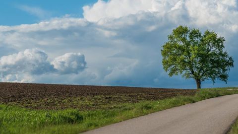 Quels sont les motifs de résiliation d'un bail rural en cours de location ?