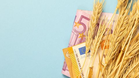 Quelle est votre stratégie de commercialisation du blé tendre pour les mois qui viennent ? Privilégierez-vous le prix moyen/prix de campagne ou le prix ferme ? Quelle est votre stratégie de commercialisation du blé tendre pour les mois qui viennent ? Privilégierez-vous le prix moyen/prix de campagne ou le prix ferme ?