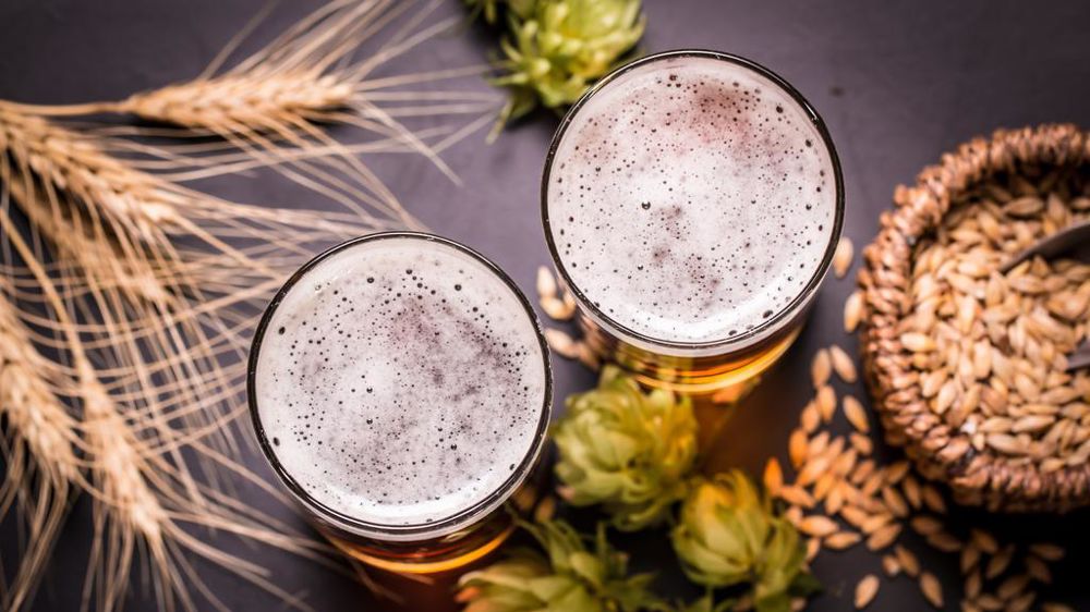 Orge et verres de bière