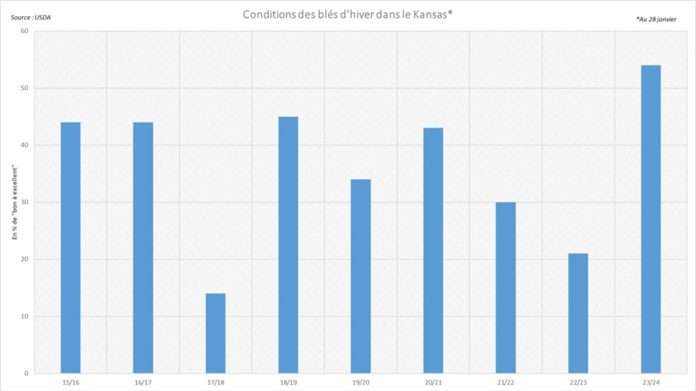Les notations de blé d'hiver dans le Kansas sont très élevées.