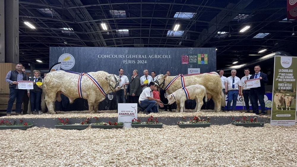 Redoutable et Première sont les champions du concours Charolais.