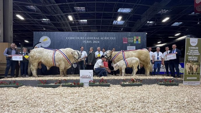 Redoutable et Première sont les champions du concours Charolais.