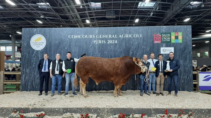 Riesling au Gaec Camus Père et Fils (87) remporte le prix de championnat mâle.