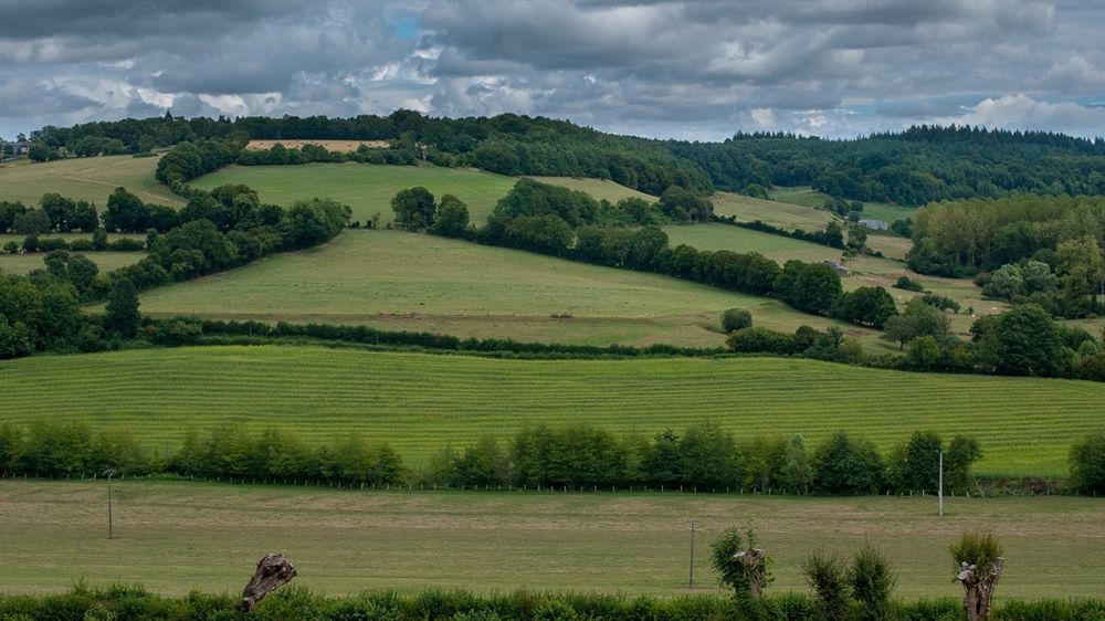 En Bretagne en 2022, près de 20 % de la surface agricole utile (SAU) était en prairies permanentes.