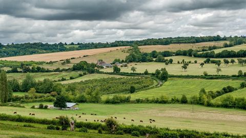 Réserves d'eau, haies... Le futur projet de loi agricole Réserves d'eau, haies... Le futur projet de loi agricole