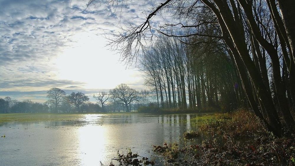 Champ inondé