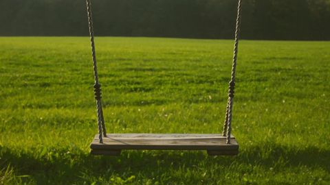 La consommation foncière masquée, pour des usages de loisir notamment, prive l'agriculture de dizaines de milliers d'hectares chaque année.