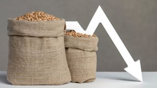 Le prix du blé est passé en février sous la barre symbolique des 200 €/t. Le prix du blé est passé en février sous la barre symbolique des 200 €/t.