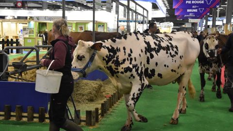 Derrière un Salon de l'agriculture calme, la colère n'est pas éteinte Derrière un Salon de l'agriculture calme, la colère n'est pas éteinte