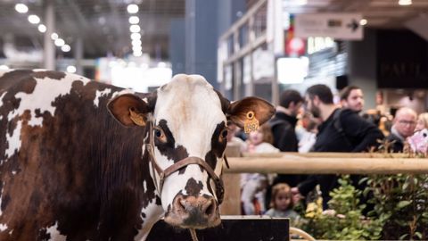 Après un Salon de l'agriculture chahuté, des braises encore « brûlantes » Après un Salon de l'agriculture chahuté, des braises encore « brûlantes »