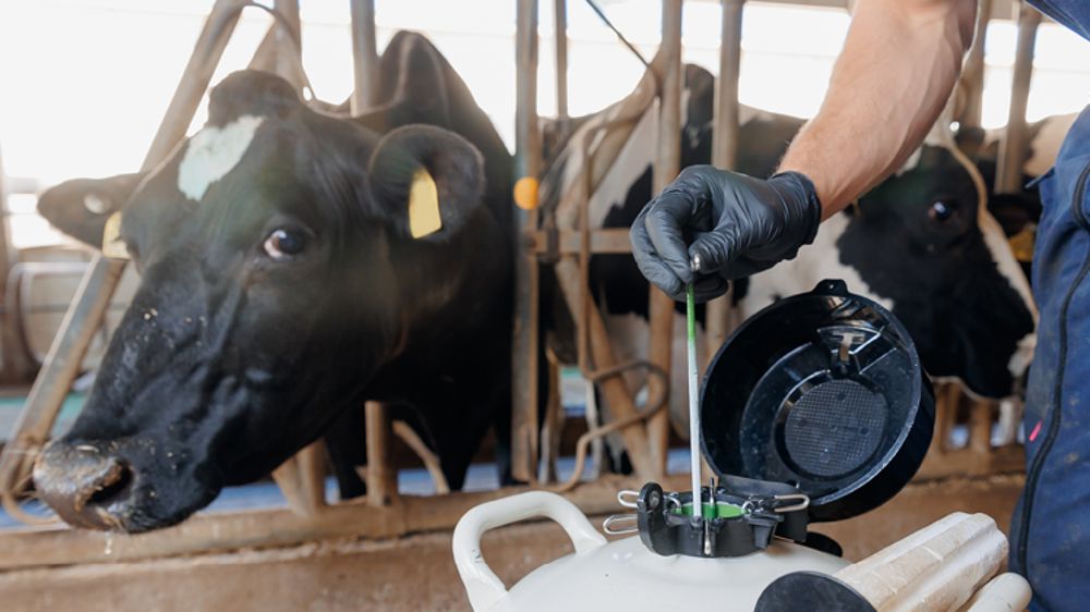 Zoom sur la reproduction dans votre élevage avec le logiciel UNIFORM
