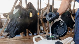 Zoom sur la reproduction dans votre élevage avec le logiciel UNIFORM