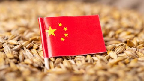 À ce jour, sur 2023/24, la Chine représente 89 % des exportations françaises d’orge vers les pays tiers, indique FranceAgriMer. À ce jour, sur 2023/24, la Chine représente 89 % des exportations françaises d’orge vers les pays tiers, indique FranceAgriMer.