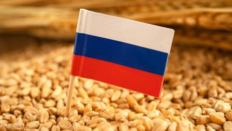Sur la campagne de commercialisation 2023/24, 25 % du blé échangé sur le marché mondial est russe.