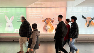 Pour soutenir l’élevage français, Sanders s’engage sur tous les plans