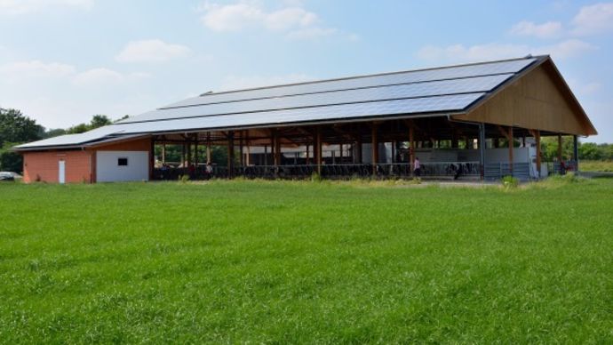 Bâtiment vaches laitières robot de traite