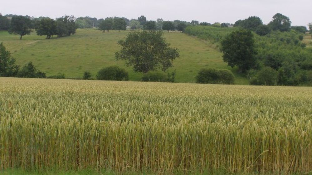 « Les fermiers sont les premiers acteurs de l’entretien de la nature » (12/12)