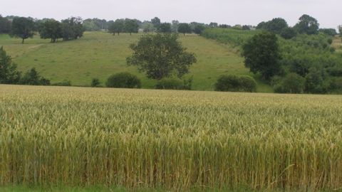 « Les fermiers sont les premiers acteurs de l’entretien de la nature » (12/12)