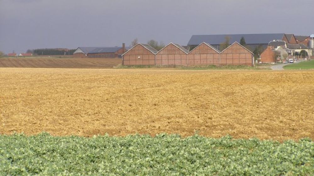 La définition et la transparence des Gaec clarifiées