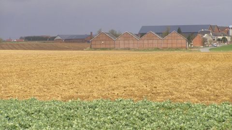 La définition et la transparence des Gaec clarifiées