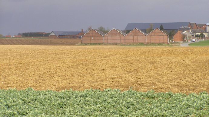Exploitation agricole