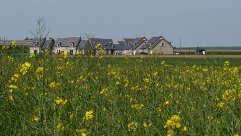 Les mesures concernant le foncier agricole