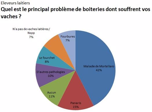 Sondage boiteries vaches laitières