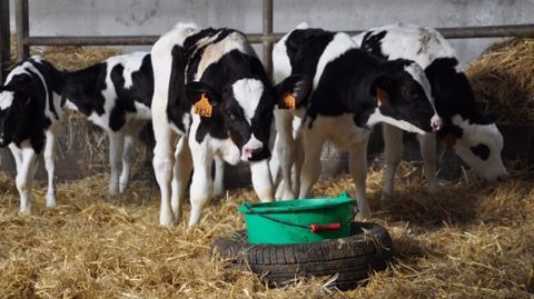 Mode d’emploi des rations sèches à base de paille