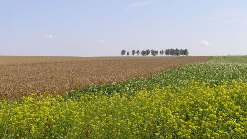 Vers un « shutdown » de l’agriculture américaine ?