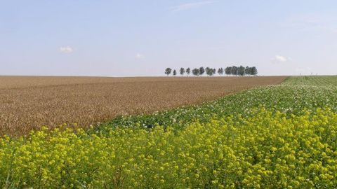 Vers un « shutdown » de l’agriculture américaine ? Vers un « shutdown » de l’agriculture américaine ?