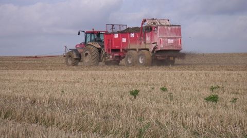 Tenir compte de la valeur fertilisante de la matière organique pour optimiser ses apports. (©Terre-net Média) Tenir compte de la valeur fertilisante de la matière organique pour optimiser ses apports. (©Terre-net Média)