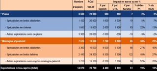Producteurs d’ovins et de caprins : + 4.400 € par exploitation en moyenne Producteurs d’ovins et de caprins : + 4.400 € par exploitation en moyenne