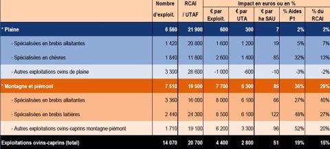 Producteurs d’ovins et de caprins : + 4.400 € par exploitation en moyenne