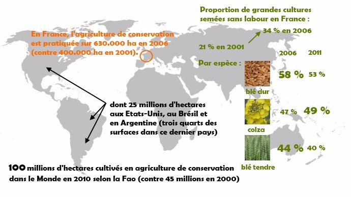 Agriculture de conservation dans le Monde